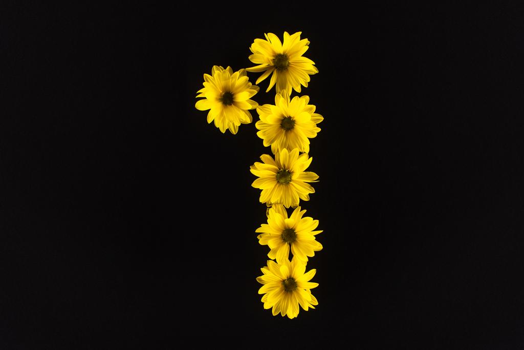 vista superior de las margaritas amarillas dispuestas en el número 1 aisladas en negro
 - Foto, imagen