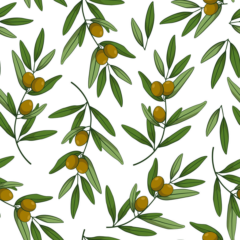 Naadloos patroon met olijven. Vectortakken, bladeren en olijven. Ontwerp voor etiketten, wikkels, textiel, webdesign. geïsoleerd op wit. - Vector, afbeelding