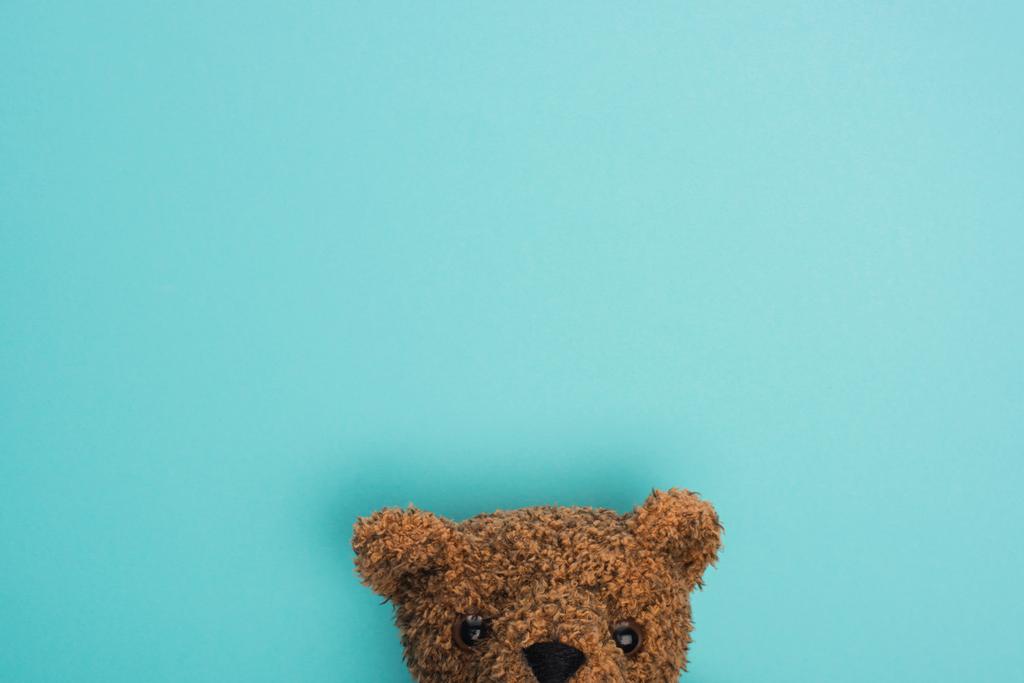 Horní pohled na medvídka hnědého na modré  - Fotografie, Obrázek
