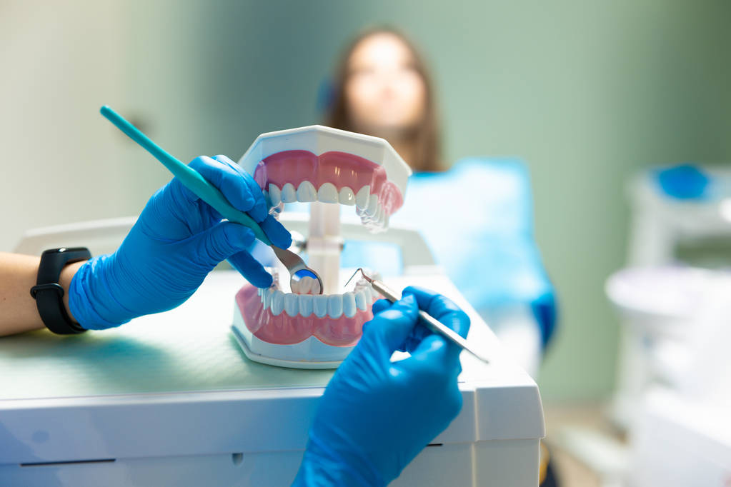 стоматолог в медицинских перчатках работает с моделью челюсти держа стоматологическое зеркало в одной руке и скалер в другой в стоматологической клинике, концепция здравоохранения
 - Фото, изображение