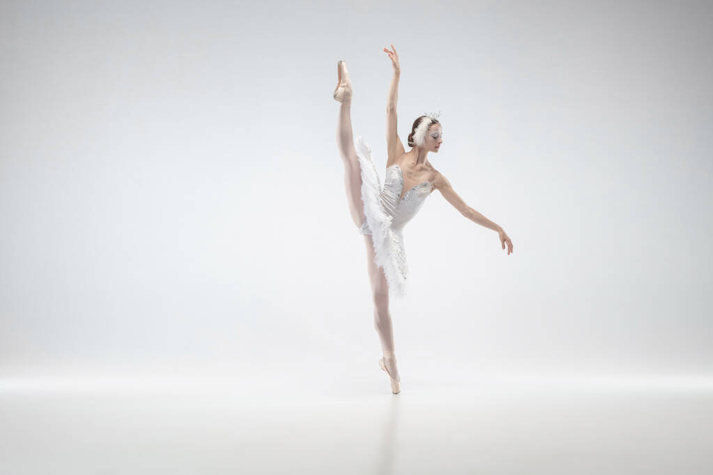 Jonge sierlijke ballerina op witte studio achtergrond - Foto, afbeelding