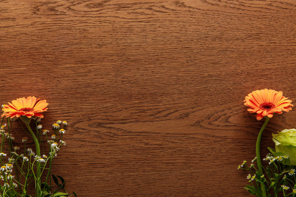 木製の背景に色とりどりのガーベラの花を咲かせる上の景色 - 写真・画像