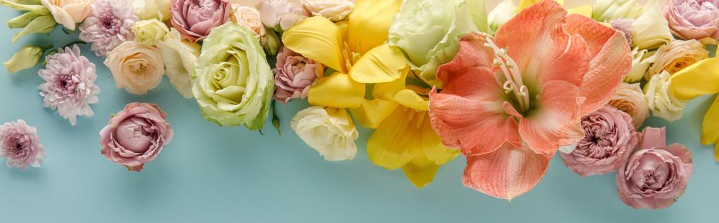 horní pohled na jarní květiny na modrém pozadí, panoramatický záběr - Fotografie, Obrázek