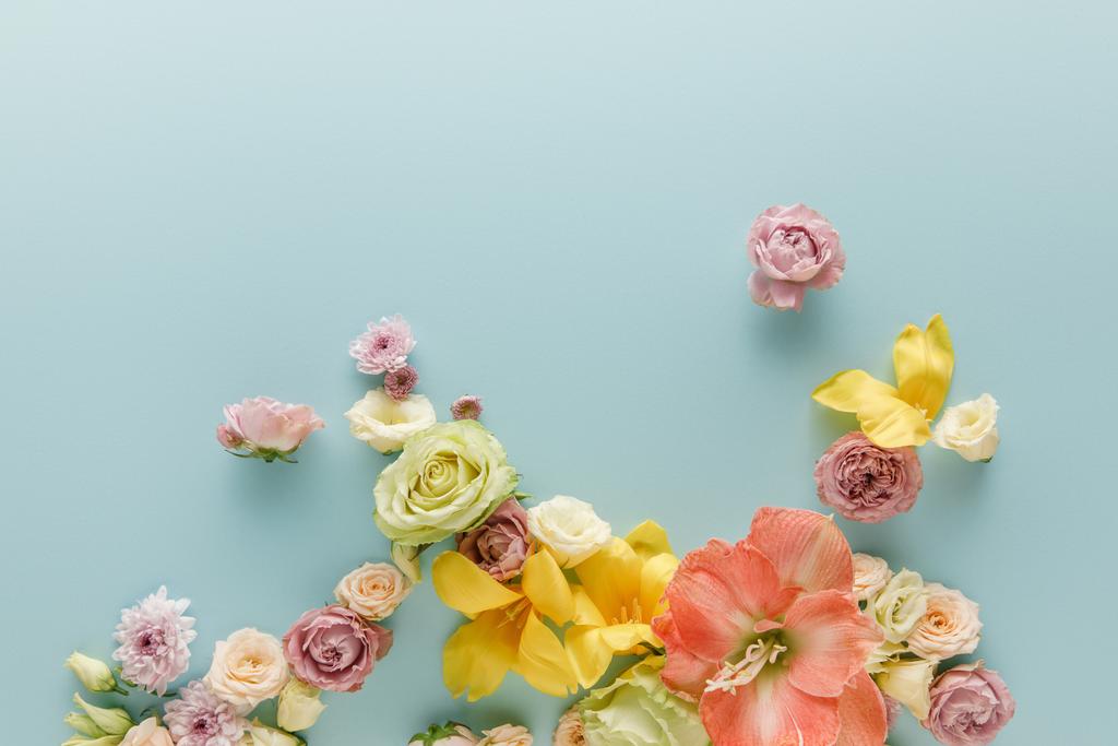 vrchní pohled na jarní květiny rozptýlené na modrém pozadí - Fotografie, Obrázek