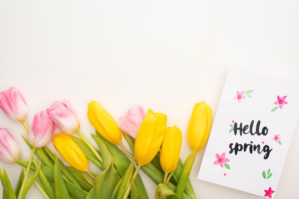 Вид сверху на желтые, розовые тюльпаны и карточку с весенней подсветкой на белом фоне
 - Фото, изображение