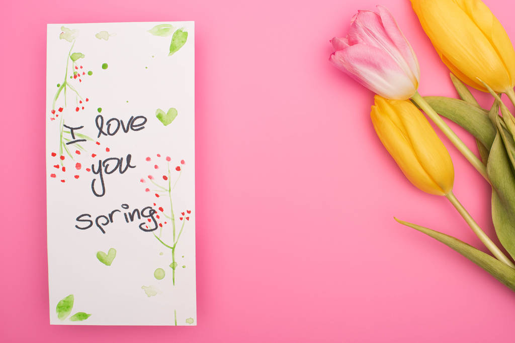 Top view of tulips and card with I love you spring lettering on pink  - Photo, Image