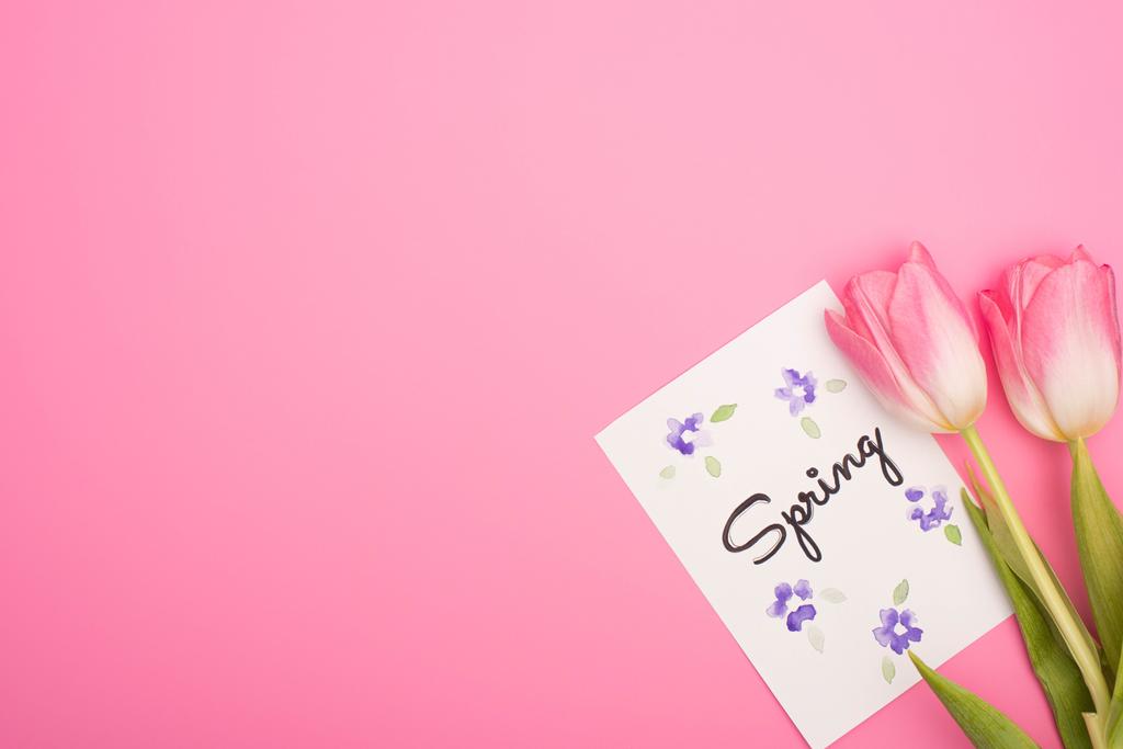 Вид сверху на тюльпаны и открытку с весенней подсветкой на розовом фоне
 - Фото, изображение