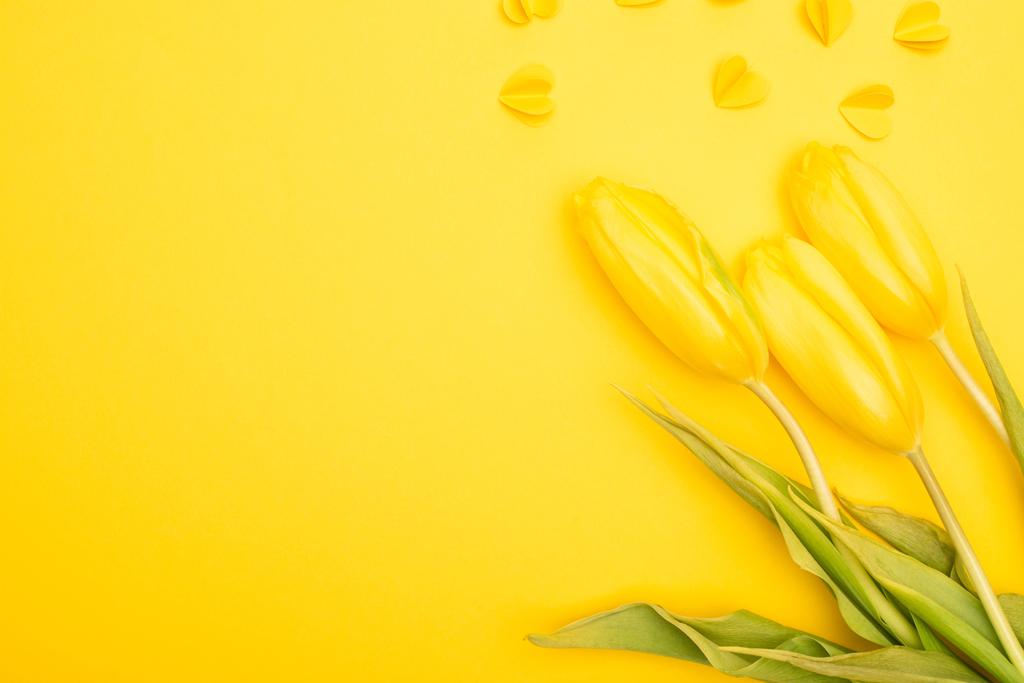 Bovenaanzicht van tulpen en decoratieve hartjes op gele achtergrond, lenteconcept  - Foto, afbeelding