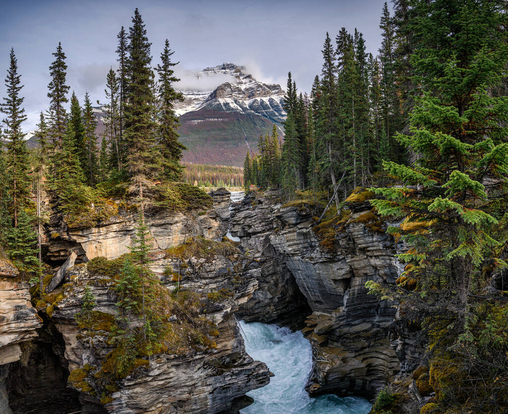 Athabasca Falls fluye en cañón con montañas rocosas en el bosque de otoño en el parque nacional Jasper, Canadá - Foto, Imagen