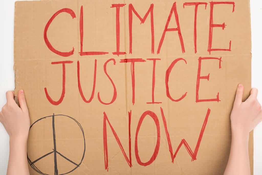 Vista cortada da mulher segurando cartaz com justiça climática agora lettering em fundo branco, conceito de aquecimento global
 - Foto, Imagem