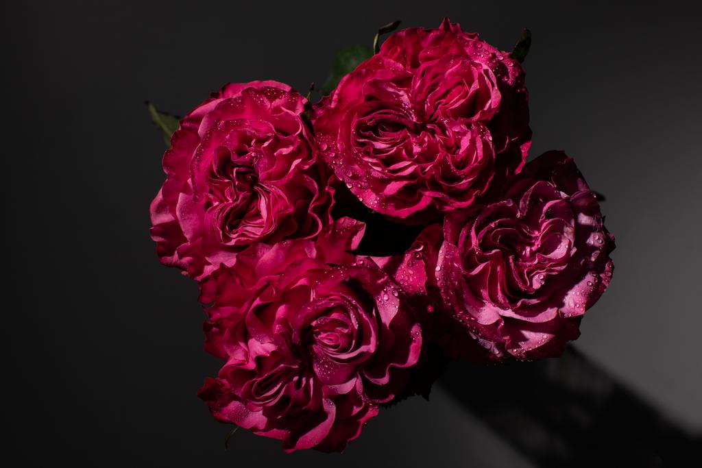 Kimppu punaisia ruusuja vesipisaroita mustalla taustalla
 - Valokuva, kuva