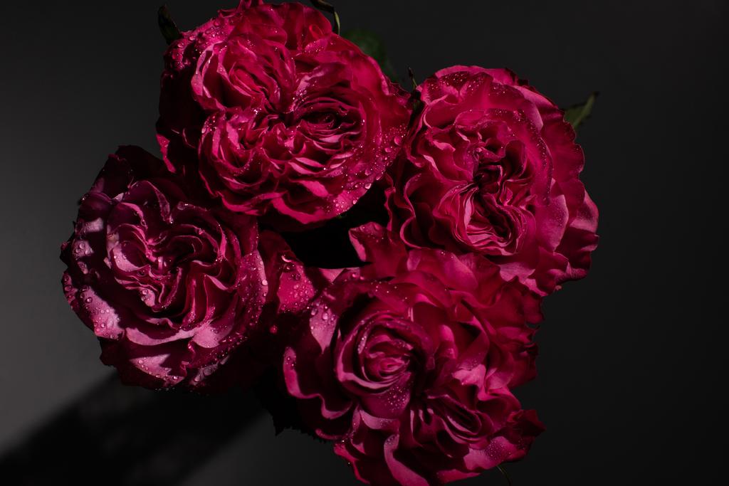 bouquet of red roses with water drops on black background - Fotografie, Obrázek