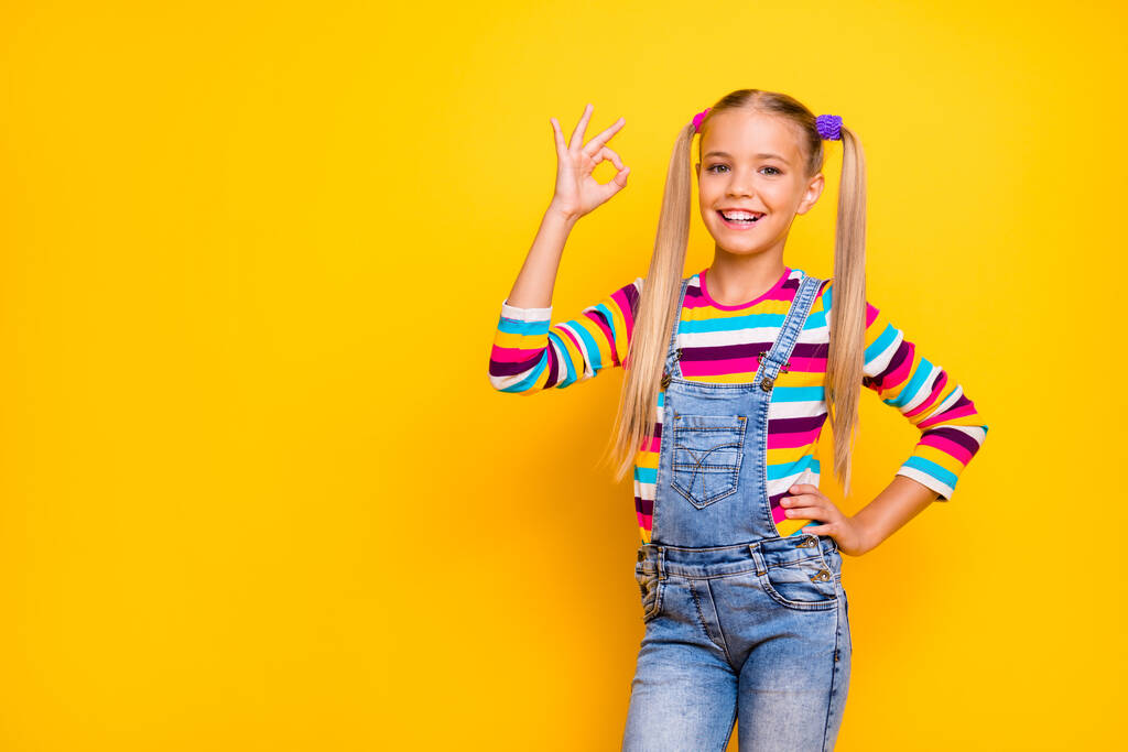 Portrait of positive cheerful blonde ponytails kid show okay sign recommend suggest select perfect great ads wear denim sweater isolated over bright color background - 写真・画像