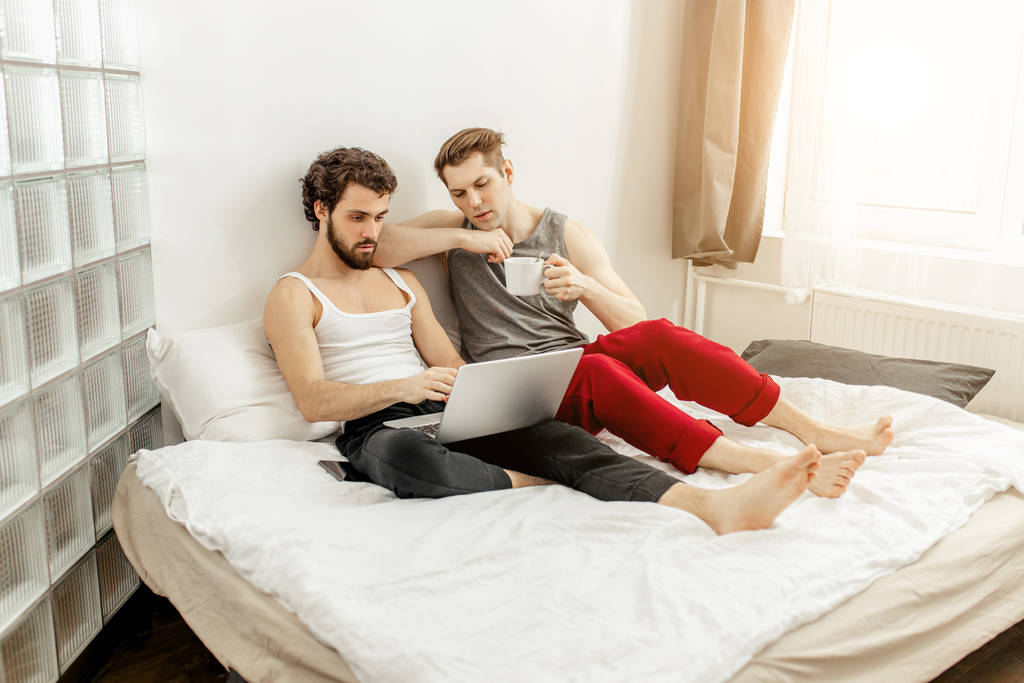 beautiful homosexual couple, gays spend time together at home - Photo, Image