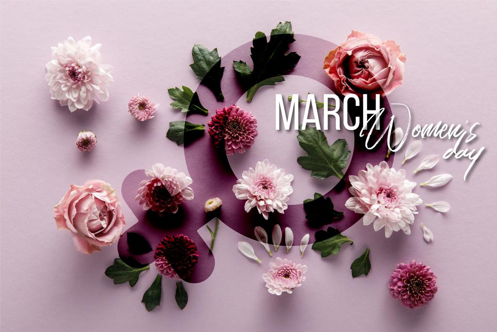 Draufsicht auf blühenden Frühling Chrysanthemen und Rosen mit Blättern und Blütenblättern auf violettem Hintergrund, Illustration zum Frauentag  - Foto, Bild