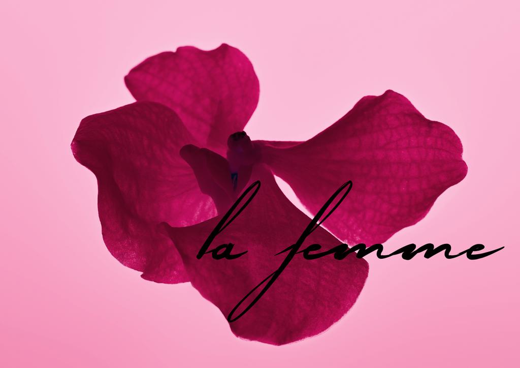 színes rózsaszín orchidea virág elszigetelt rózsaszín, la femme illusztráció - Fotó, kép