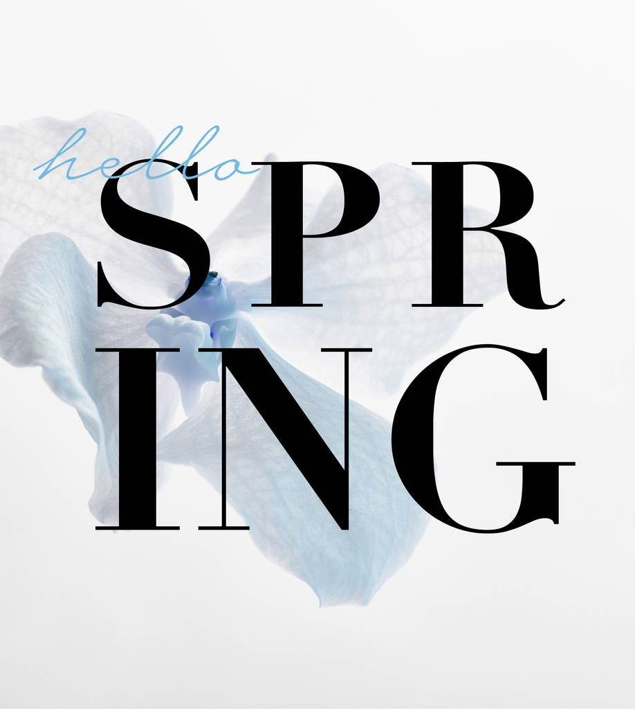 白で隔離された美しい青い蘭の花春のイラスト - 写真・画像