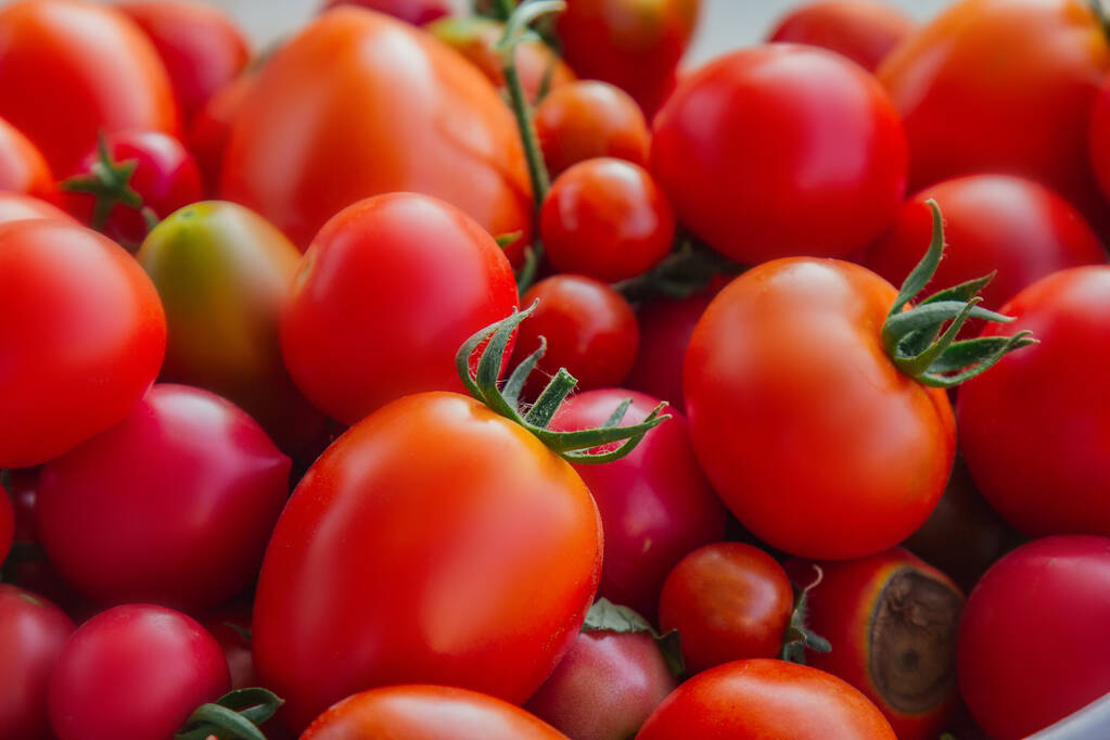 健康的なサラダに野菜を食べる。収穫はいい。接近中だ。庭の木のテーブルの上のバスケットに新鮮な有機トマト - 写真・画像