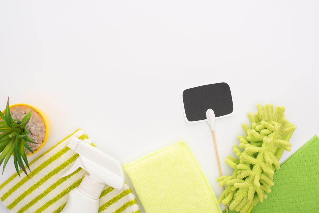 Ansicht von Zimmerpflanze und grünen Reinigungsmitteln mit leerer Karte auf weißem Hintergrund - Foto, Bild