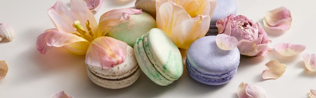 assorted delicious french macaroons with floral petals on grey background, panoramic shot - Photo, Image