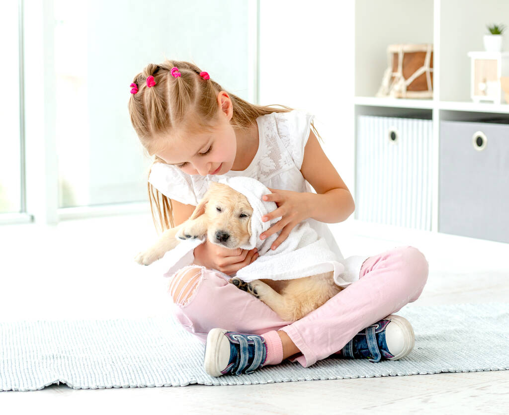 Girl taking care about puppy - Photo, Image