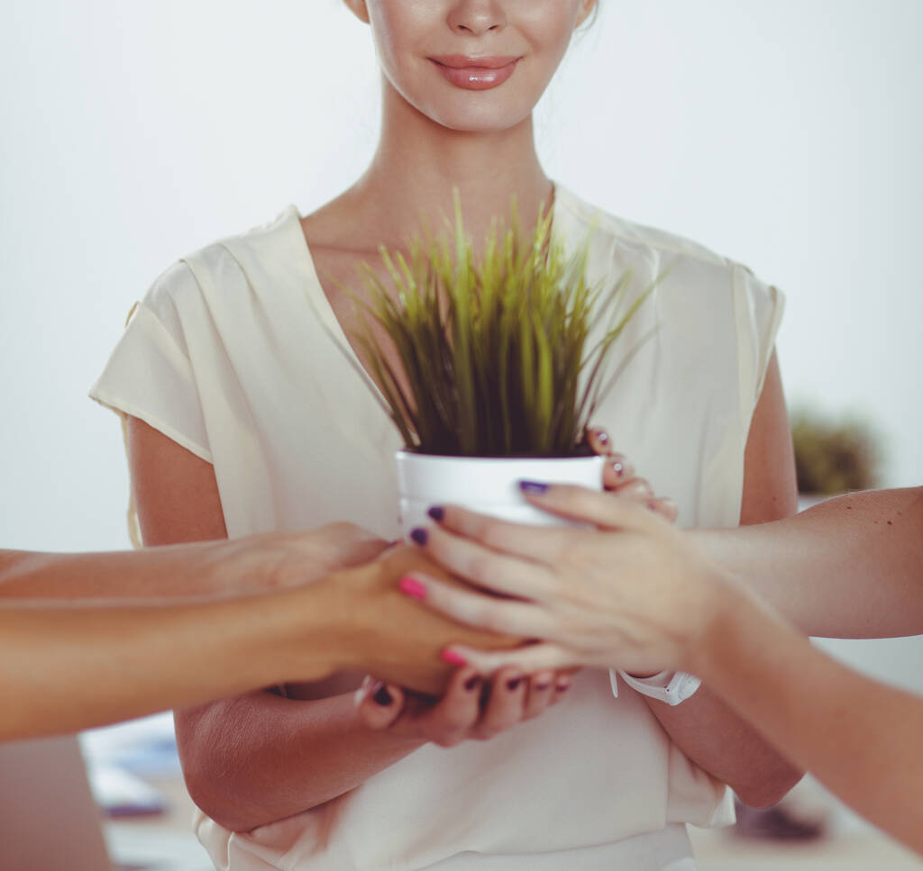 Belle femme tenant pot avec une plante, debout
 - Photo, image