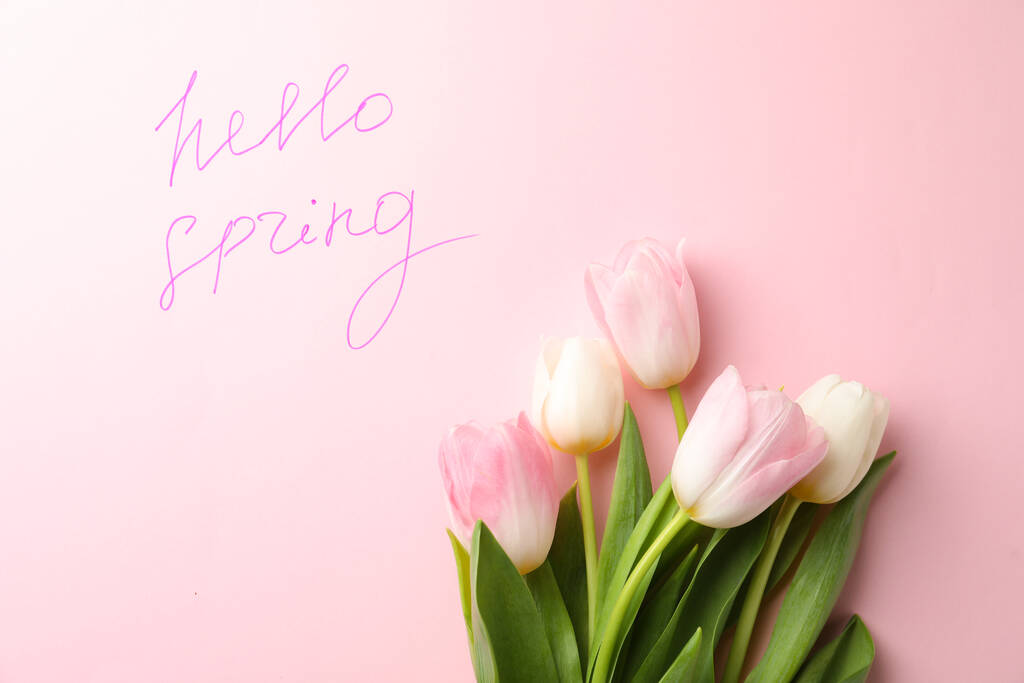 Wörter HELLO FRÜHLING und frische Tulpenblüten auf rosa Hintergrund, flache Lage - Foto, Bild