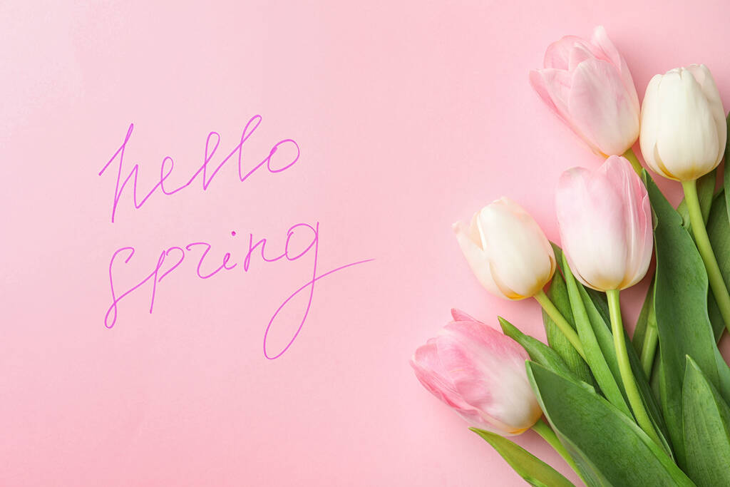Woorden HELLO SPRING en verse tulpenbloemen op roze achtergrond, plat gelegd - Foto, afbeelding