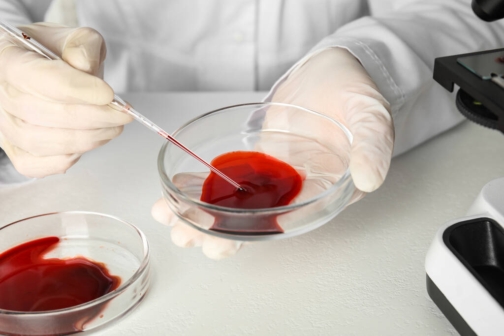 研究室でピペットとペトリ皿から血液サンプルを取っている科学者,クローズアップ.ウイルス研究 - 写真・画像