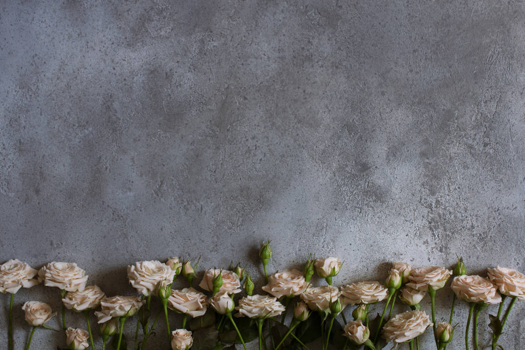 Rosas alinhadas em um fundo de concreto cinza. Espaço para cópia. Orientação horizontal
 - Foto, Imagem