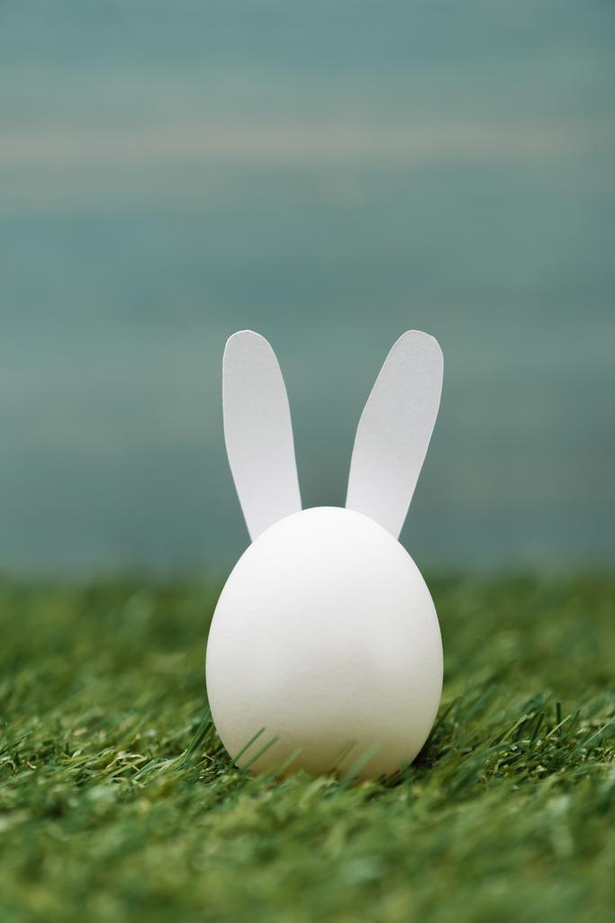 Декоративный белый кролик на траве, пасхальная концепция
 - Фото, изображение