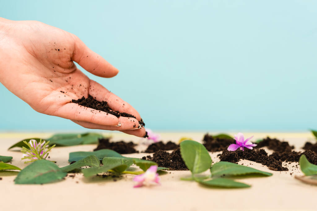Καλλιεργημένη άποψη της χούφτας του εδάφους στο γυναικείο χέρι με φύλλα και μπουμπούκια σε μπλε και μπεζ, έννοια ημέρα της γης - Φωτογραφία, εικόνα
