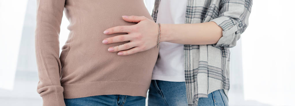 Vista cortada da mulher tocando barriga de namorada grávida, tiro panorâmico
 - Foto, Imagem