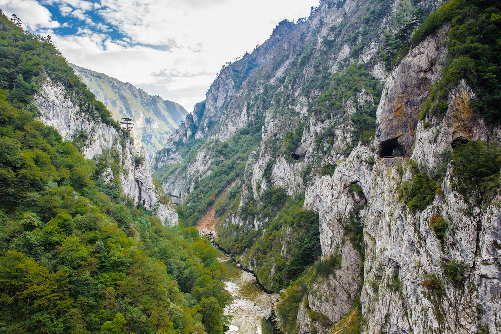 Tara river, Montenegro - Photo, Image