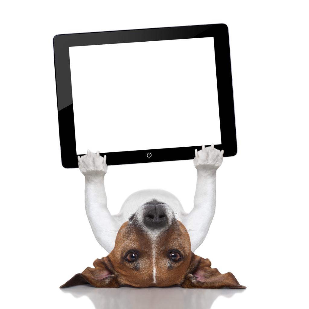 dog computer - Photo, Image