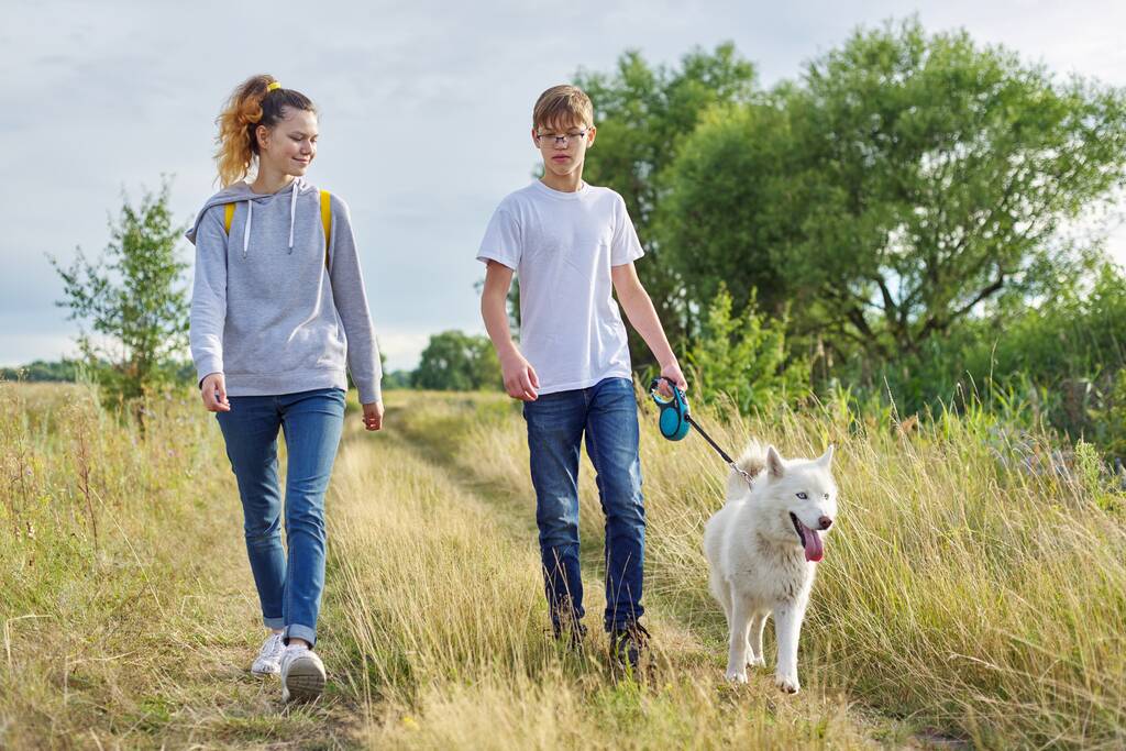 Adolescentes caminando con un perro blanco en el prado en un día soleado
 - Foto, imagen