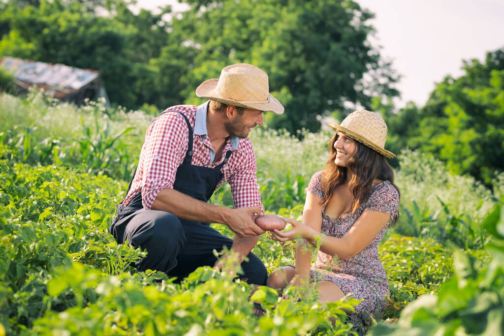De jeunes couples cueillent des récoltes dans leur jardin. Nous allons remplir autant de caisses de pommes de terre pleines - Photo, image