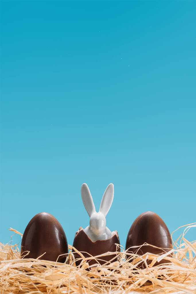 вкусные шоколадные яйца с кроликом-едоком в гнезде изолированы на синий
 - Вектор,изображение
