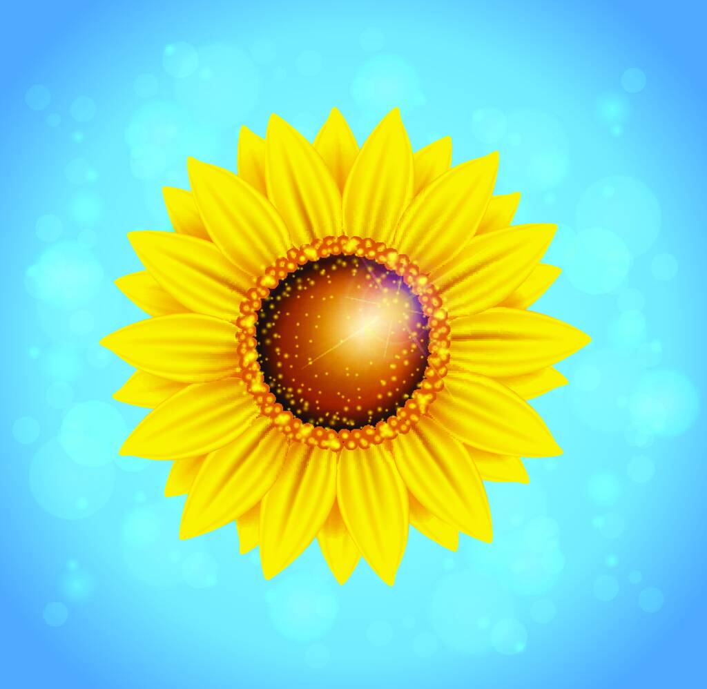 Dekorative Vektor Sommer Hintergrund mit Sonnenblume und blauem Himmel - Vektor, Bild