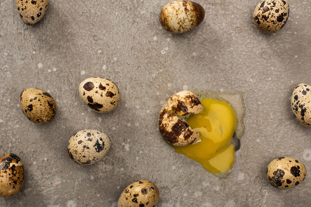 vrchní pohled na rozdrcené křepelčí vejce obklopený celými vejci na šedém betonovém pozadí - Fotografie, Obrázek