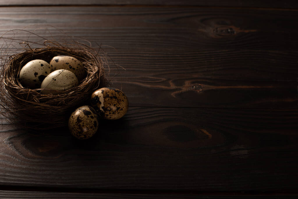 перепелині яйця в коричневому гнізді і на темній дерев'яній поверхні
 - Фото, зображення