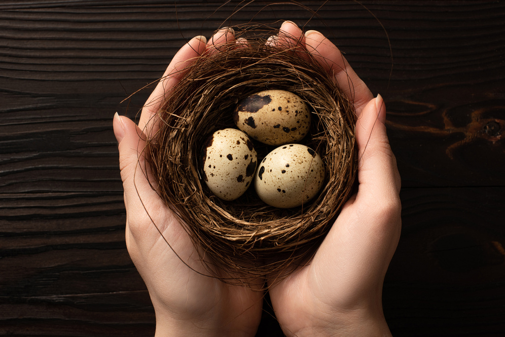 partial view of woman holding quail eggs on dark wooden background - Photo, Image