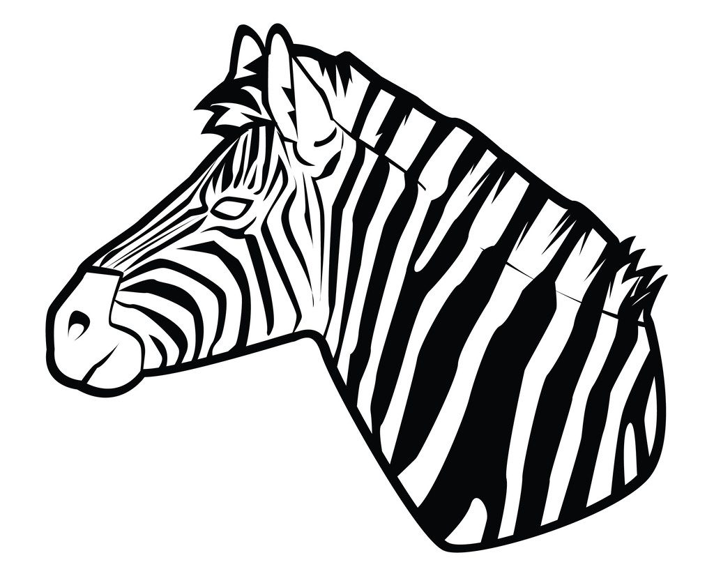 vektorové ilustrace Zebra - Vektor, obrázek