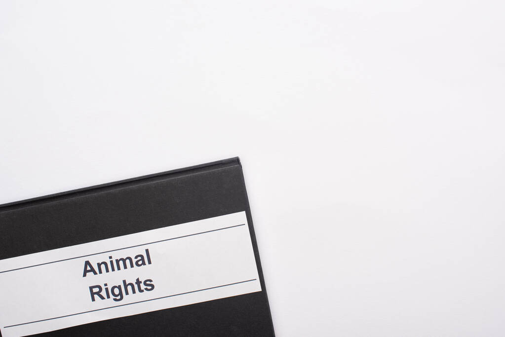 górny widok czarny notatnik z napisem praw zwierząt na białym tle - Zdjęcie, obraz