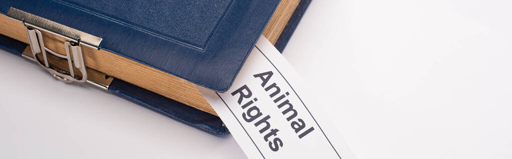 foto panoramica di cartellino bianco con iscrizione per i diritti degli animali in libro blu su sfondo bianco
 - Foto, immagini
