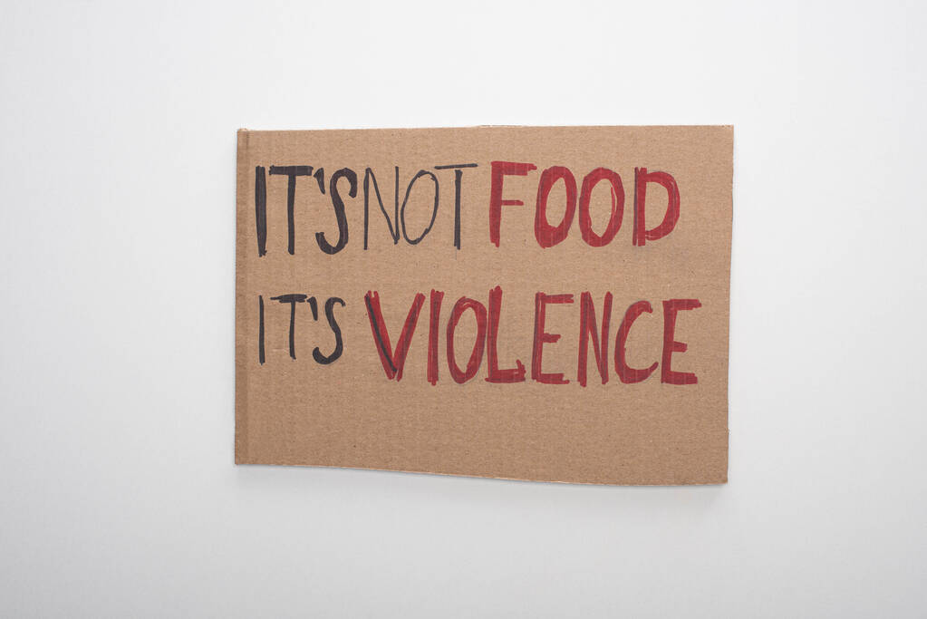 top view of cardboard sign with its not food its violence inscription on white background - Photo, Image
