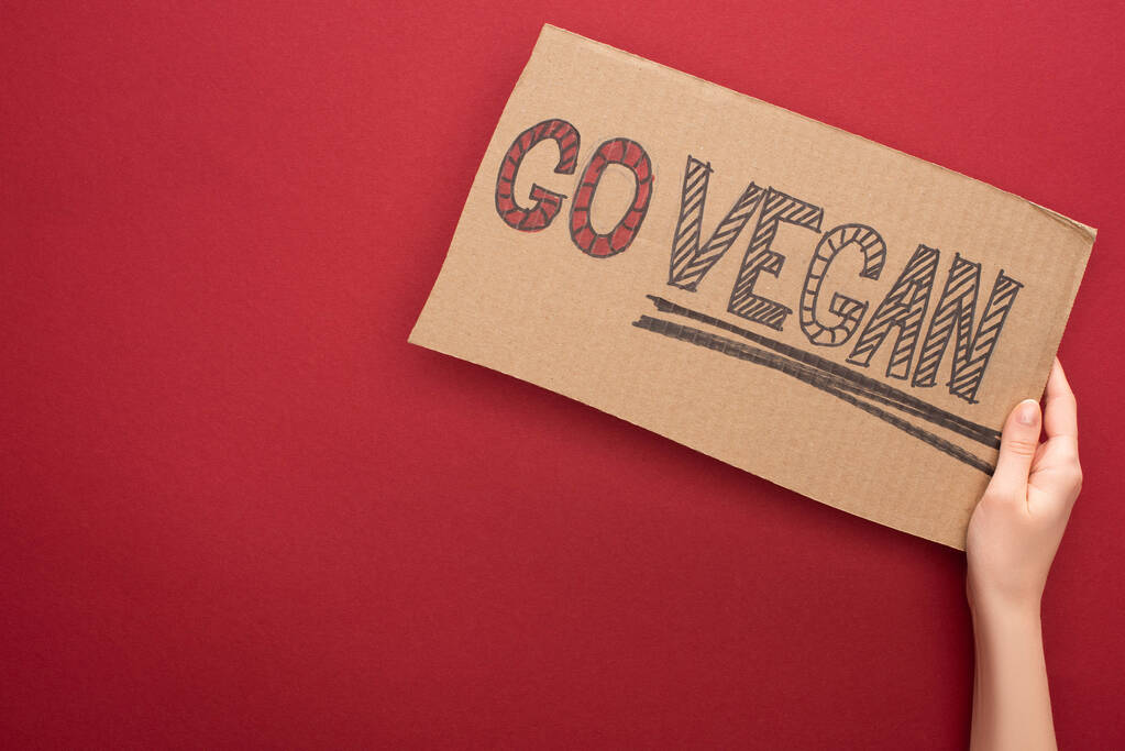 partial view of woman holding sign with go vegan inscription on red background - Photo, Image