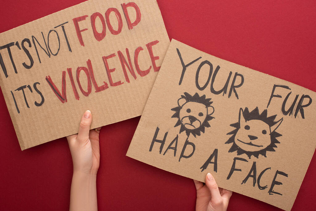 partial view of woman holding cardboard signs with your fur had a face and its not food its violence inscriptions on red background - Photo, Image