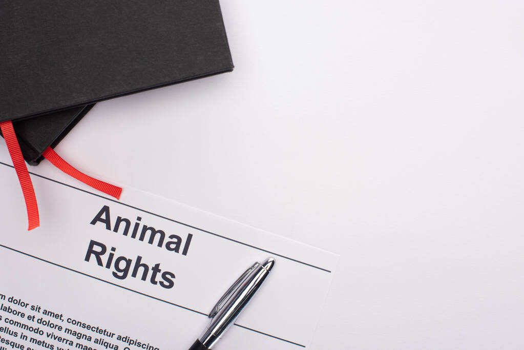 felső nézet állatjogi felirat, fekete notebook és toll fehér háttér - Fotó, kép