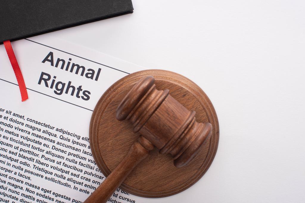 top view of judge gavel on animal rights inscription and black notebook on white background - Photo, Image
